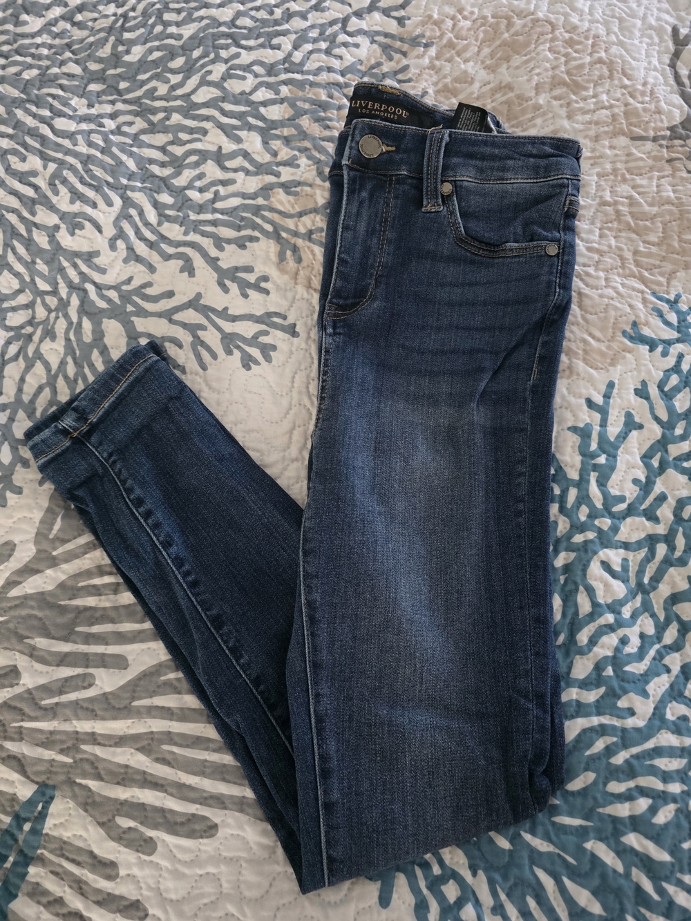 Liverpool Dark Wash Skinny Women’s Jeans